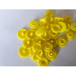 Lot 10 pressions KAM citron